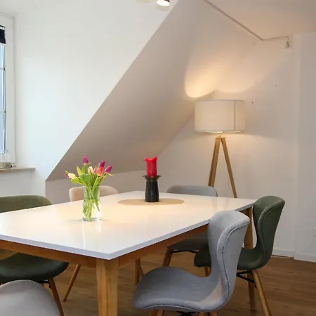 Kormoran Harry's Place Q8 Prerow